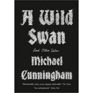 A Wild Swan : And Other Tales - Michael Cunningham