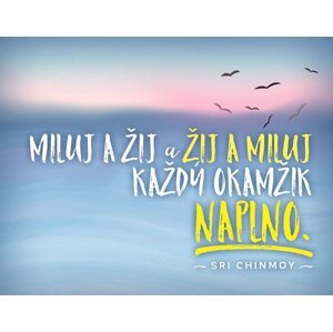 Magnet na lednici - Miluj a žij a žij a miluj každý okamžik naplno - Sri Chinmoy