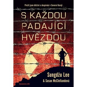 S každou padající hvězdou - Susan Elizabeth McClellandová