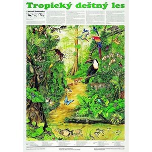 Plakát - Tropický deštný les