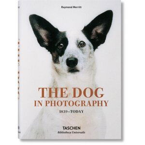 The Dog in Photography 1839–Today - Raymond Merritt