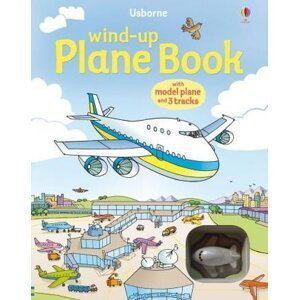Wind-Up Plane Book - Gillian Doherty