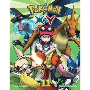 Pokemon X*Y 11 - Hidenori Kusaka