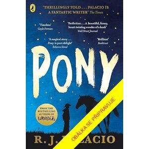 Pony, 1.  vydání - Raquel J. Palaci