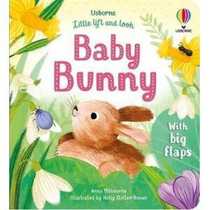 Little Lift and Look Baby Bunny - Anna Milbourneová