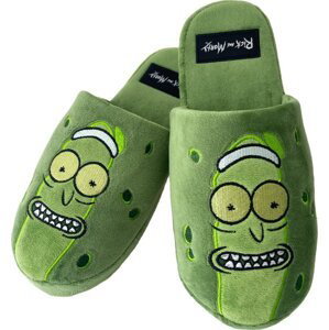 Rick and Morty Bačkory (42-45) - EPEE Merch - Groovy