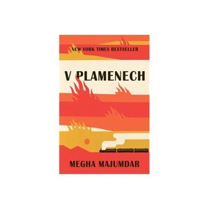 V plamenech - Megha Majumdar