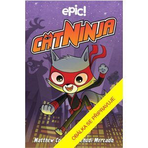 Cat Ninja - Matthew Cody