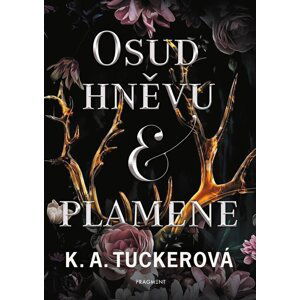 Osud hněvu a plamene - K. A. Tucker