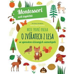 Moje první kniha o zvířatech z lesa (Montessori: Svět úspěchů) - Chiara  Piroddi