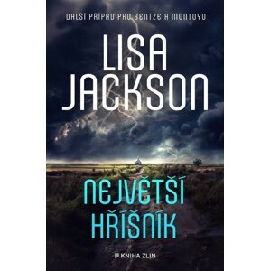 Největší hříšník - Lisa Jackson