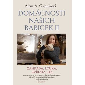 Domácnosti našich babiček II. - Alena A. Gajdušková