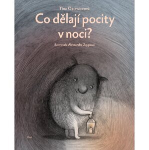 Co dělají pocity v noci? - Tina Oziewiczová