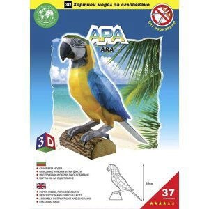 Ara Araucana – Papírový 3D model/37 dílků