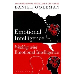 Emotional Intelligence & Working with EI - Daniel Goleman