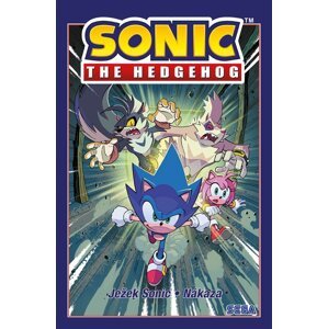 Ježek Sonic 4 - Nákaza - Ian Flynn