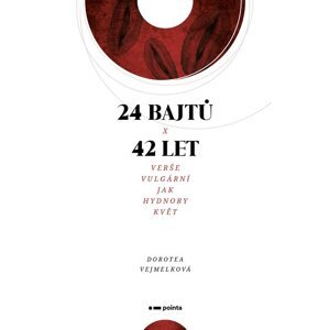 24 bajtů x 42 let - Dorotea Vejmelková