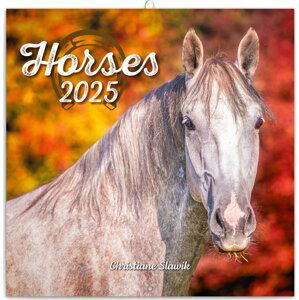 Kalendář 2025 poznámkový: Koně - Christiane Slawik, 30 × 30 cm - Christiane Slawik