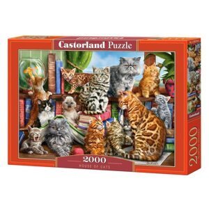 Castorland Puzzle -  Kočičí dům 2000 dílkú