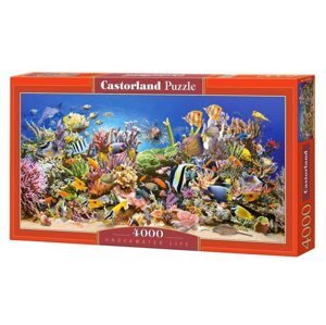 Castorland Puzzle -  Podvodní život 4000 dílkú