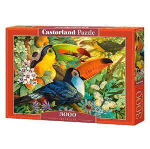 Castorland Puzzle -  Tukani 3000 dílkú