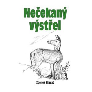 Nečekaný výstřel - Zdeněk Hlaváč