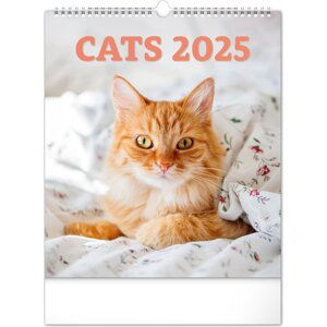 Nástěnný kalendář Kočky 2025, 30 × 34 cm