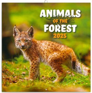 Poznámkový kalendář Zvířátka z lesa 2025, 30 × 30 cm