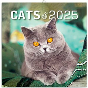 Poznámkový kalendář Kočky 2025, 30 × 30 cm