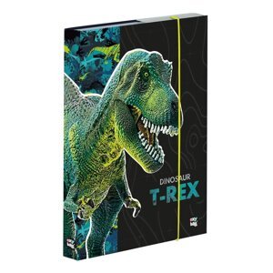 Box na sešity A4 Premium - Dinosaurus