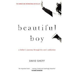 Beautiful Boy - David Sheff