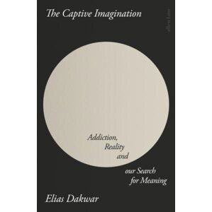 The Captive Imagination