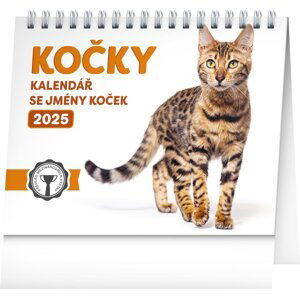 NOTIQUE Stolní kalendář Kočky – se jmény koček 2025, 16,5 x 13 cm
