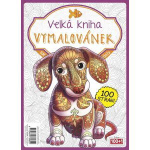 Velká kniha vymalovánek - fuchsiová - Kolektiv