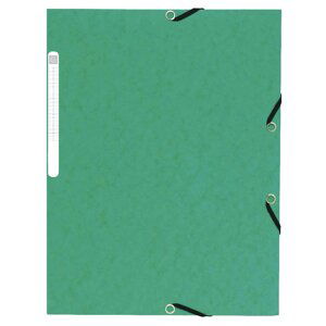 Exacompta spisové desky s gumičkou a štítkem, A4 maxi, prešpán, zelené