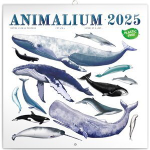 Kalendář 2025 poznámkový: Animalium, 30 × 30 cm