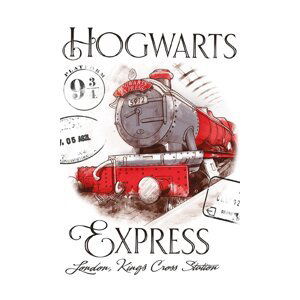 Dětský ručník Harry Potter Bradavický Express 30x50 cm