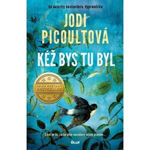 Kéž bys tu byl - Jodi Picoult