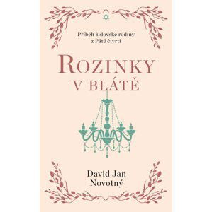 Rozinky v blátě - Dva tucty střepů - David Jan Novotný