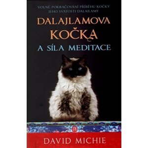 Dalajlamova kočka a síla meditace - s odkazem na audionahrávku - David Michie