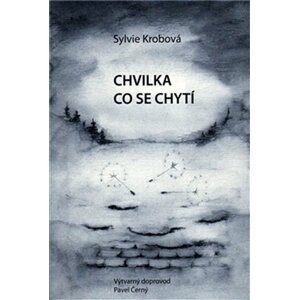 Chvilka co se chytí - Sylvie Krobová