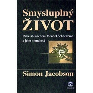 Smysluplný život - Simon Jacobson