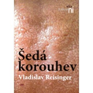 Šedá korouhev - Vladislav Reisinger