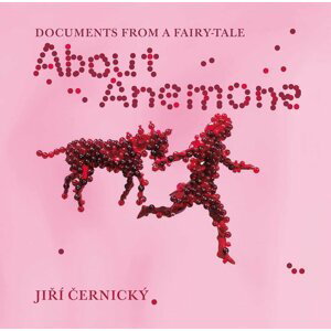 Documents from a fairy-tale About Anemone - Jiří Černický