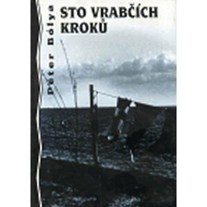 Sto vrabčích kroků - Peter Bólya