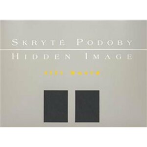 Skryté podoby/ Hidden Image - Jiří David