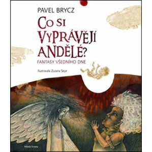 Co si vyprávějí andělé - Pavel Brycz