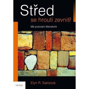 Střed se hroutí zevnitř - Mé putování šílenstvím - Elyn Saks