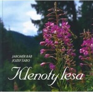 Klenoty lesa - Jaromír Ráb