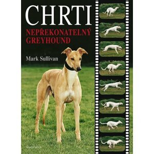 Chrti - Nepřekonatelný Greyhound - Mark Sulivan